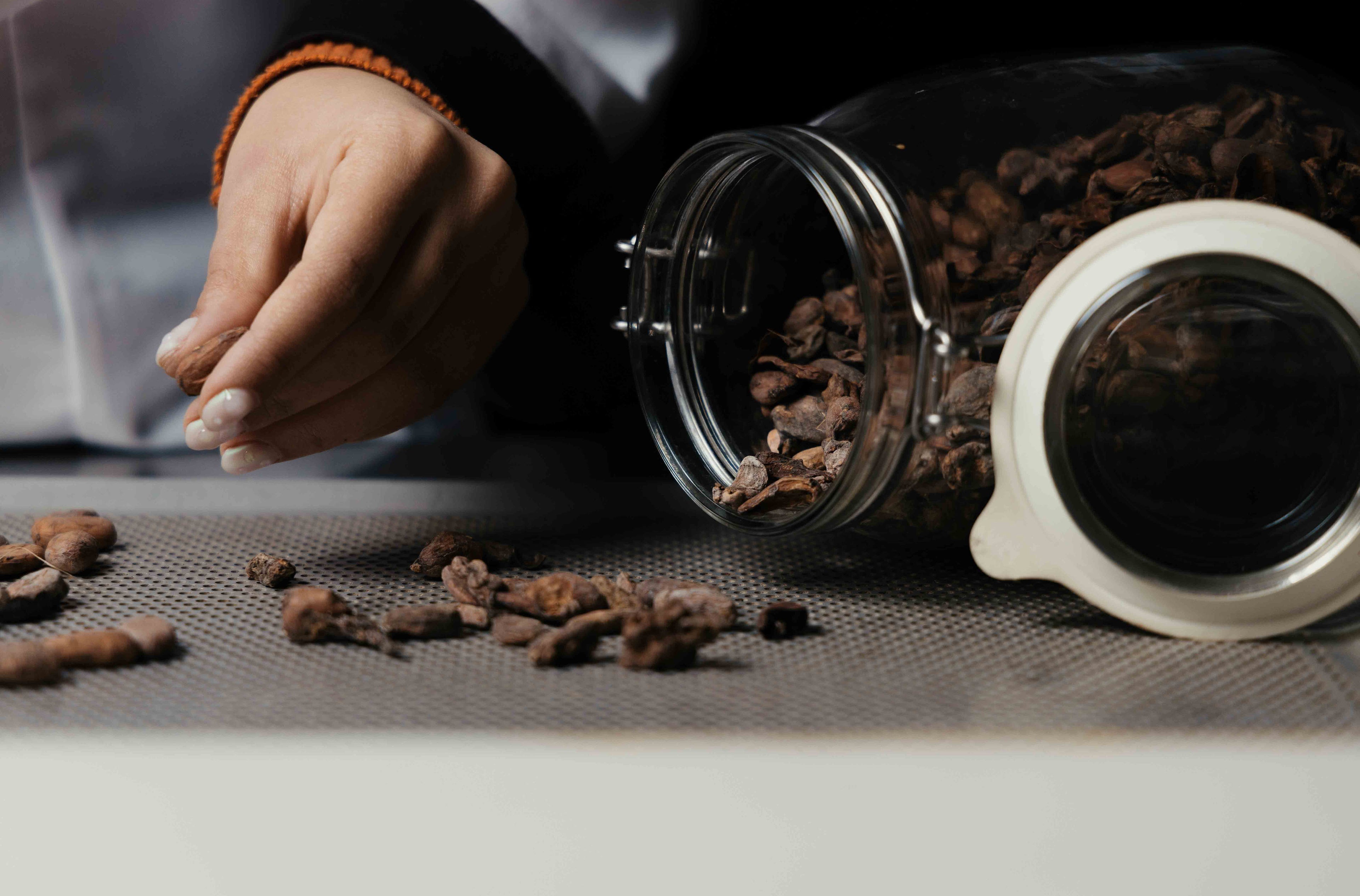 Atelier de la fève à la tablette